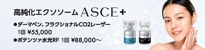 高純化エクソソーム ASCE+