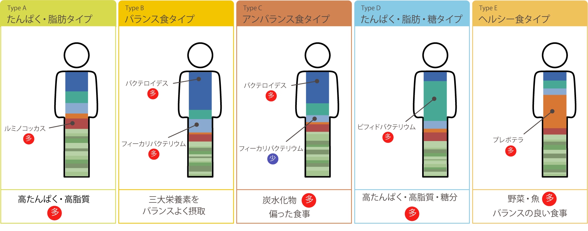 あなたの腸内フローラタイプは？